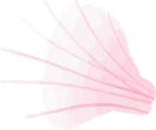 vector